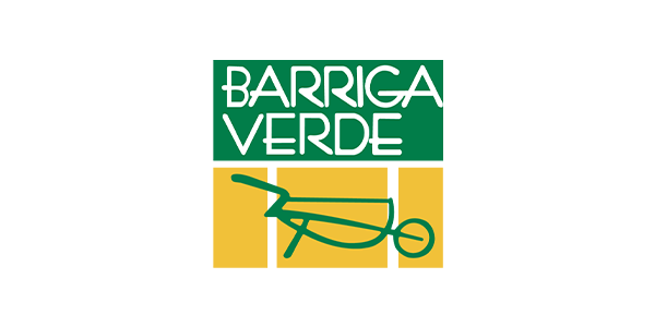 Logo da Barriga Verde